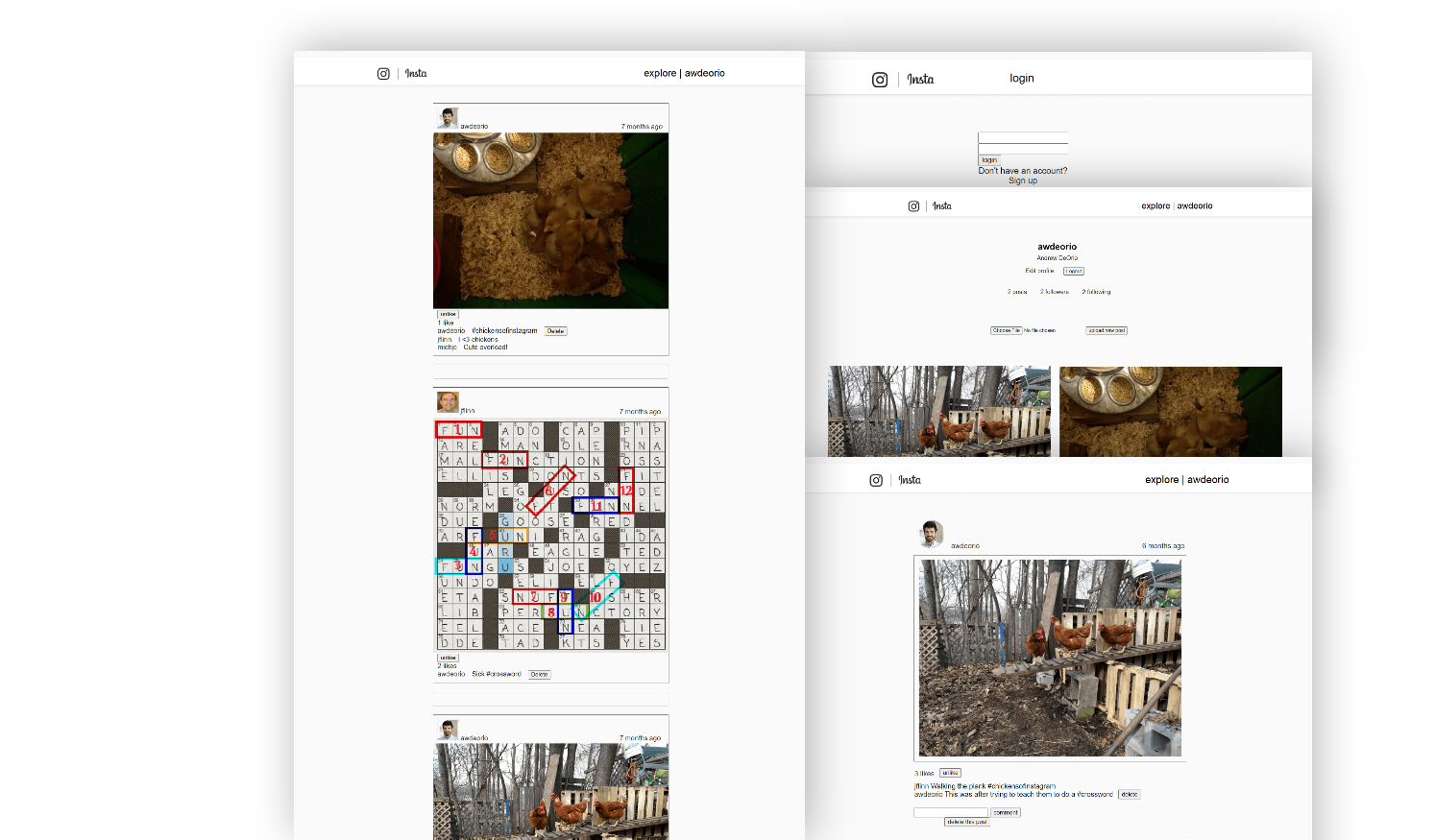 Web Design